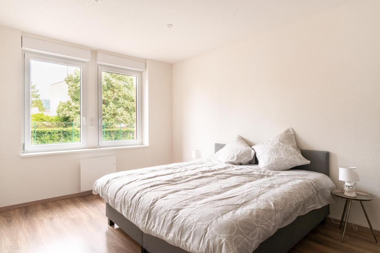 Gemuetlich 2 Apartment Wissembourg Luaran gambar