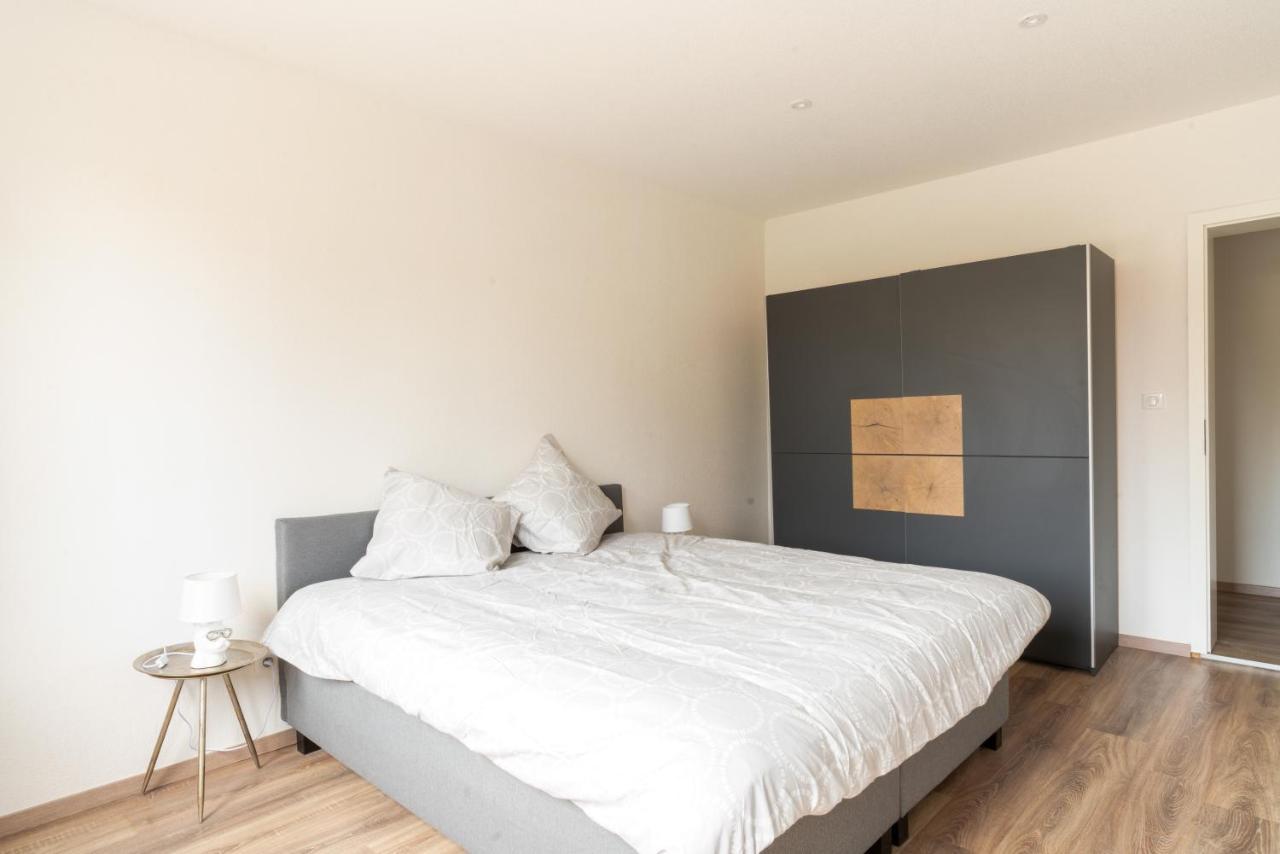 Gemuetlich 2 Apartment Wissembourg Luaran gambar